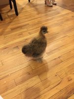 3B841E12-56BD-479A-B074-D7D7B241614D.jpeg