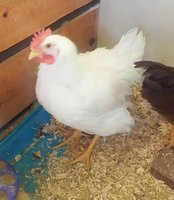 20180604_112403.jpg