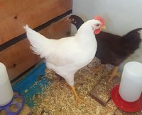 20180604_112456.jpg