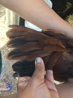8F004341-A951-4408-B686-6528501E333E.jpeg