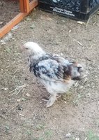 20180604_190032.jpg