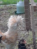 20180604_200737.jpg
