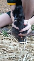 20180604_162246.jpg