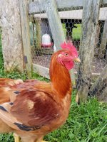 20180604_191809.jpg