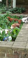20180531_110308.jpg