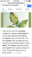 537BC5FF-A791-4D38-9A91-DB5A76CFCABA.png