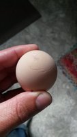 Charley egg2.jpg