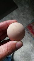 Charley egg2.jpg Charley egg2.jpg