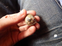 DSCF6151.JPG