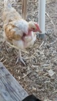 20180526_181947.jpg