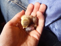 DSCF6163.JPG
