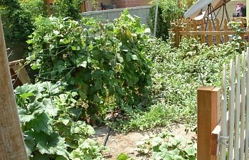 DSCF0003-3.jpg