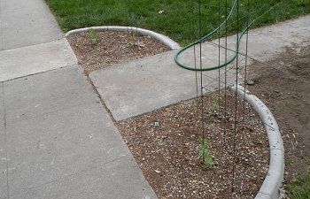 DSCN1382.jpg