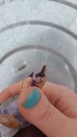 20180605_164606.jpg 20180605_164606.jpg