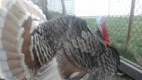 20180314_192843.jpg