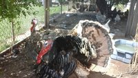 20170810_124646.jpg