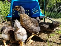 20180605_093742.jpg