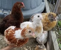 20180606_075649.jpg 20180606_075649.jpg