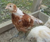 20180606_075807.jpg 20180606_075807.jpg