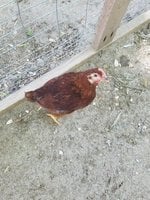 20180605_103014.jpg 20180605_103014.jpg