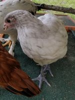 20180606_105101.jpg