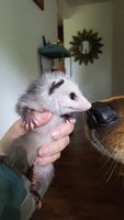 20180606_111919.jpg