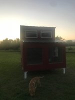 Woods Coop 5.jpg