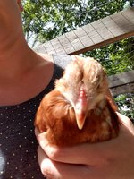 20180606_151901.jpg