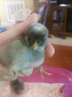 20180605_092357.jpg