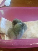 20180605_092251.jpg