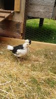 20180603_131153.jpg