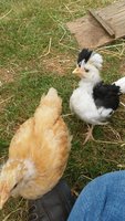 20180603_101646.jpg