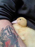 20180606_194422.jpg