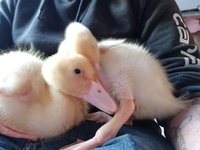 20180606_194146.jpg
