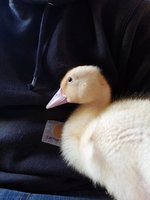 20180606_194059.jpg