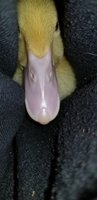 20180606_194344.jpg