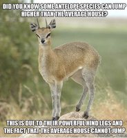 4F3D59D8-81DB-49CD-BDB5-876BFCD0301B.jpeg