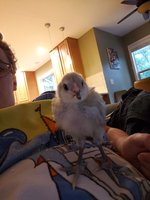 20180606_202945.jpg