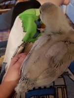 20180606_203000.jpg