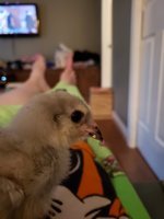 20180606_203125.jpg