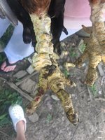7F2F70BC-3736-4982-88FF-9FD62CBE622A.jpeg