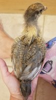 20180529_091444.jpg