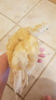 20180529_092133.jpg