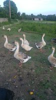 20180606_200311.jpg
