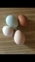 1E0667C1-9C4C-48B3-9BD8-45E0769AACB8.png