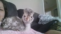 20180516_095534.jpg