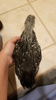 20180606_203906.jpg