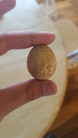 20180526_062308.jpg