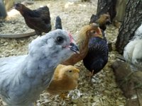 20180606_181429.jpg