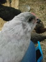 20180525_192454.jpg